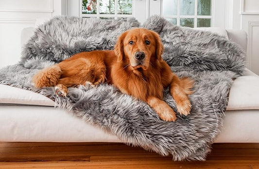 PupProtector Waterproof Throw Blanket for Dogs and Cats, Pet Blanket Cover for Couches, Sofas, Beds, Car Seats, Furniture, Calming Soft Faux Fur, Charcoal Grey, Large (80" L x 62" W)