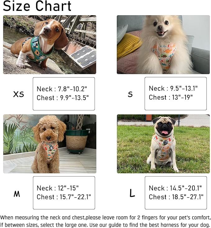 Dog Harness and Leash Set, Adjustable Dog Harness, Dog Leash, No Pull No Choke Puppy Harnesses for Walking Training for Small Medium Pet