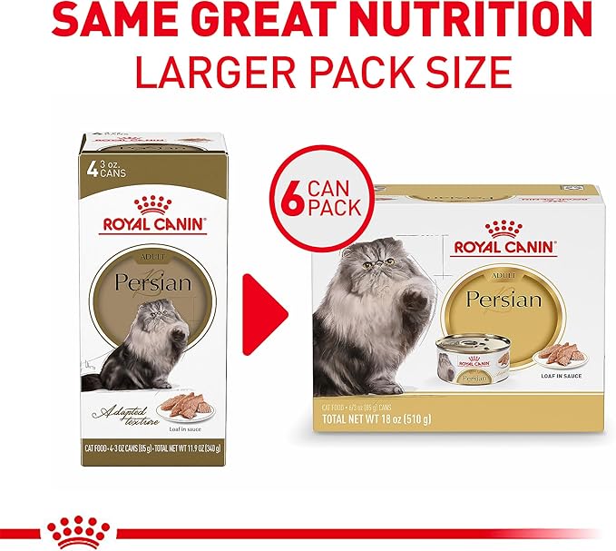 Royal Canin Feline Breed Nutrition Maine Coon Adult Thin Slices in Gravy Cat Food, 3 oz (Pack of 6)