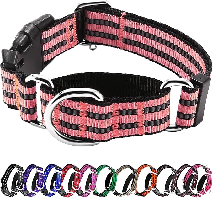 Hikiko Martingale Dog Collars Reflective Nylon Dog Collar with Quick Release Buckle Adjustable Training No Slip Dog Collar (Medium, Cherry Pink)