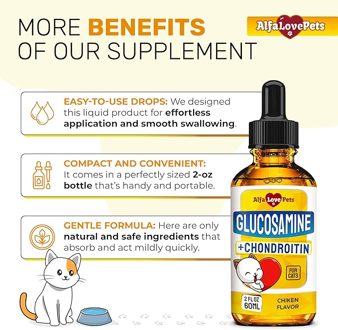 Cat Joint Supplement for All Breeds – Glucosamine for Cats and Kittens – Glucosamine, Chondroitin, MSM for Hip & Joint Care – Natural Ingredients with Chicken Flavor – 2 Oz