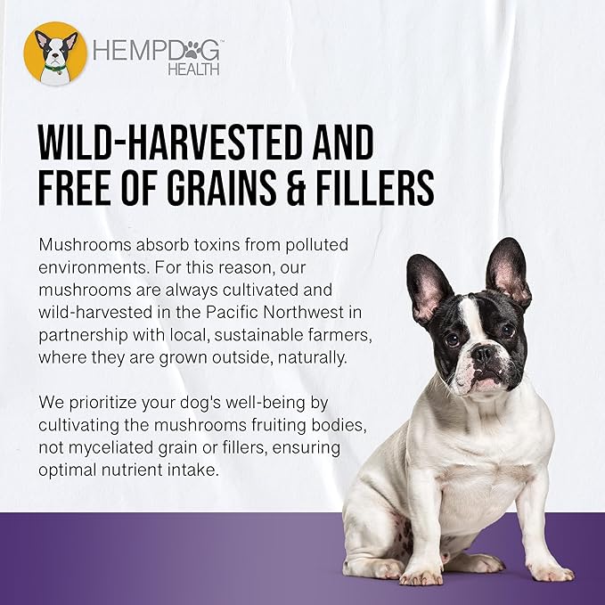 MycoDog Clarity - Cognitive Support Supplement for Dogs - Brain Health, & Senior Dog Wellness - Memory & Focus with Functional Mushrooms & Adaptogens