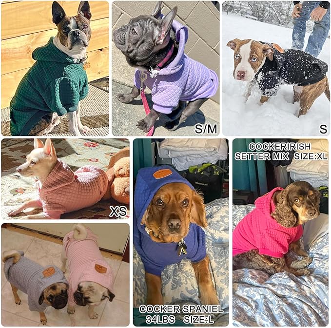 BEAUTYZOO Small Dog Hoodie Sweater with Pockets, Dog Clothes for Small Medium Dogs Boy Girl, Waffle-Like Laminated Cotton Pet Coats with Hat and Leash Hole, Navy Blue L