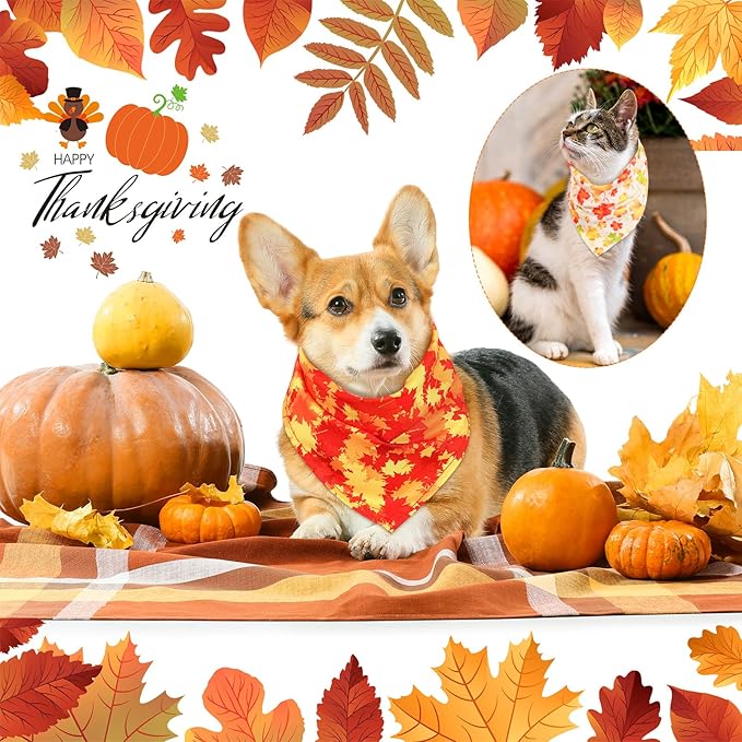 Sweetude 200 Pieces Fall Dog Bandanas Bulk Thanksgiving Day Bandanas for Dogs, Pumpkin Maple Leaves Pattern Pet Triangle Scarf Puppy Dog Kerchief Bibs for Autumn Holiday Costume Accessories Decoration