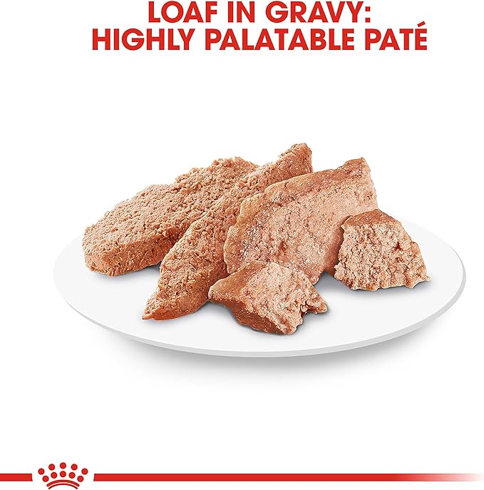 Royal Canin Breed Health Nutrition Pomeranian Adult Loaf in Sauce Dog Food, 3 oz (Pack of 24)