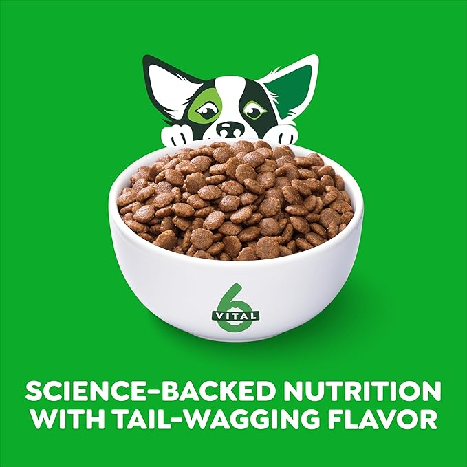 Greenies Smart Essentials Small Breed Adult High Protein Dry Dog Food Real Chicken & Rice Recipe, 27 lb. Bag