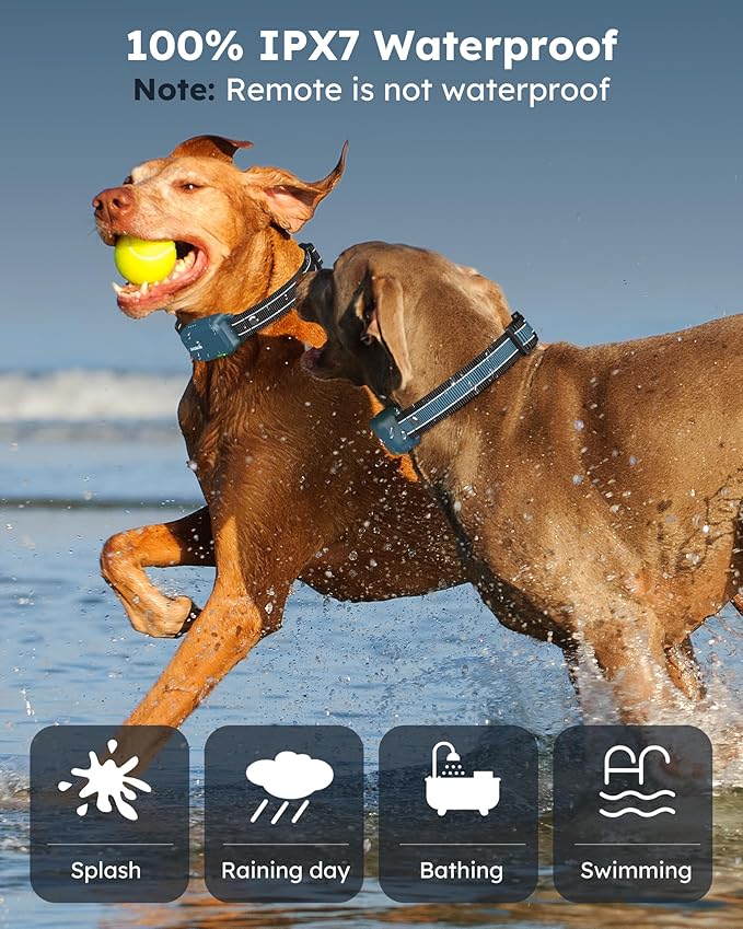 Jugbow Dog Shock Collar 2 Dogs (10-120Lbs) - 4200FT Dog Training Collar with Remote IPX7 Waterproof Electric Collar with 4 Training Modes, Rechargeable e-Collar for Lager Medium Small Dog Cyan Blue