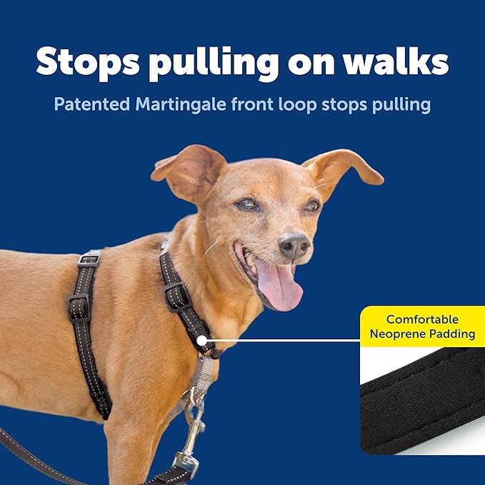 PetSafe 3 in 1 Dog Harness - No Pull Solution for Dogs - Reflective Dog Harness - Front D-Ring Clip Helps Stop Pulling - Comfortable Padded Straps - Top Handle Enhances Control - Black - Extra Small