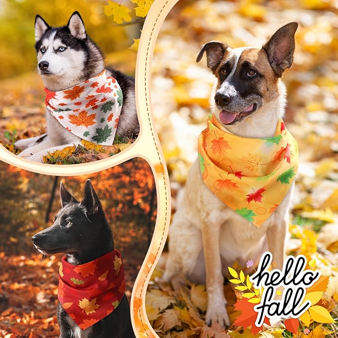 Chunful 60 Pcs Thanksgiving Fall Bandanas for Dogs Autumn Maple Leaf Pumpkin Patterns Soft Bibs Adjustable Triangle Doggie Scarf for Small Medium Large Pet Costume(31.5 x 21.7 x 21.7 Inch)