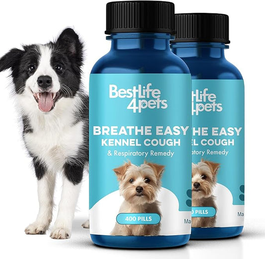 Dog Kennel Cough Treatment & Natural Decongestant, Breathe Easy Cough Treatment for Wheezing, Sneezing, and Nasal Congestion, Supports Respiratory Health and Eases Cold Symptoms, 800 Small Pills