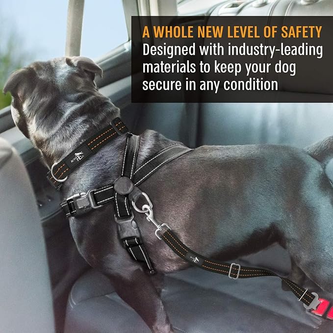 Active Pets Orange Car Seat Belt for Dogs, Attaches to Harness & Collar, Adjustable 18" - 24" Travel Restraint System Fits Small - Large Pups for Safety & Comfort, Essential Pet Supplies & Accessories