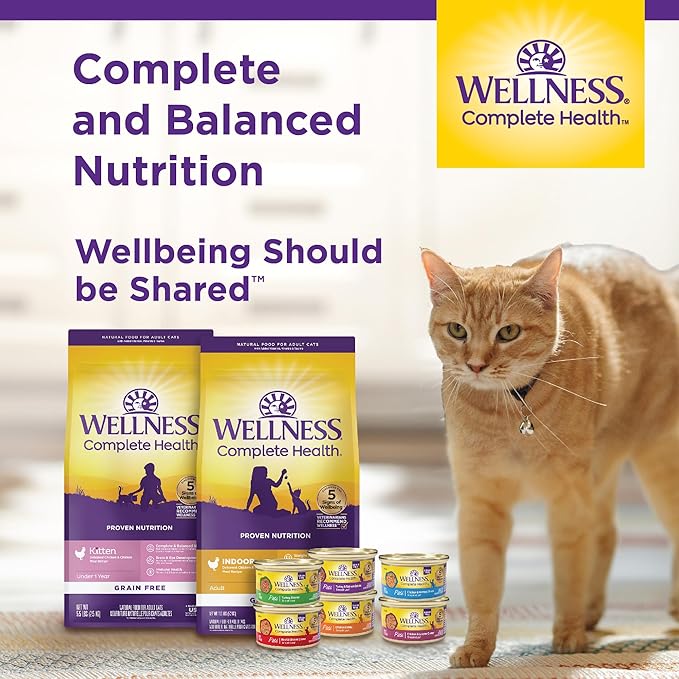 Wellness Complete Health Pate Adult Wet Cat Food, Natural, Protein-Rich, Grain Free, 3 Ounce, 24 Pack, (Beef & Salmon)