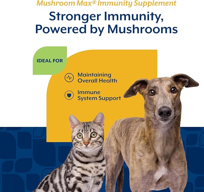 NaturVet Mushroom Max Advanced Immune Support Dog Supplement – Helps Strengthen Immunity, Overall Health for Dogs – Includes Shitake Mushrooms, Reishi, Turkey Tail – 120 Ct.