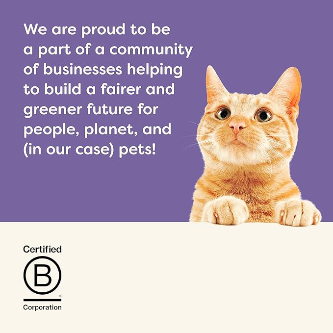 Applaws Natural Wet Canned Cat Food, Made with Limited and Natural Ingredients, Real Protein with No Artificial Additives, Variety Pack in Broth (16 x 2.47oz Cans)