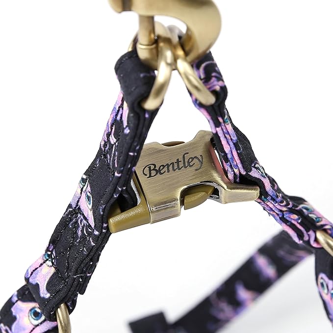 Angie and Allie Organic Cotton Personalized Step in Dog Harness,Custom Dog Halter Vests,Adjustable No Pull Canine Halter Harness for Small Medium Large Dogs