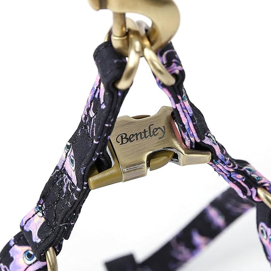 Angie and Allie Organic Cotton Personalized Step in Dog Harness,Custom Dog Halter Vests,Adjustable No Pull Canine Halter Harness for Small Medium Large Dogs