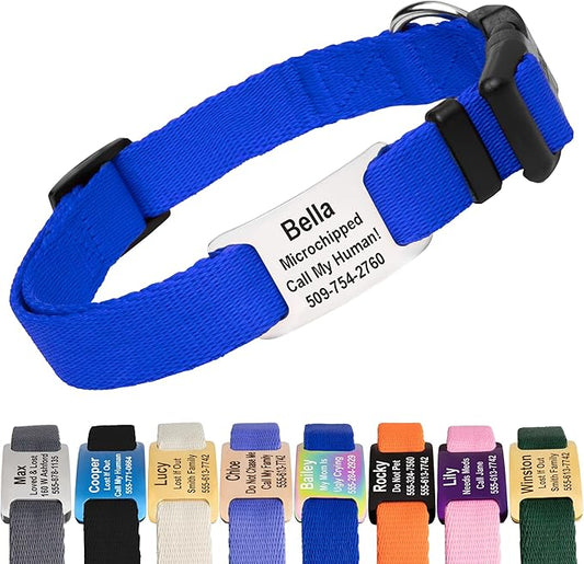 GoTags Personalized Dog Collar with Nameplate, Adjustable Dog Collar with Custom Engraved Slide On Pet ID Tag in Stainless Steel, Silent, No Noise Dog Tag for Large Medium and Small (Blue, Large)