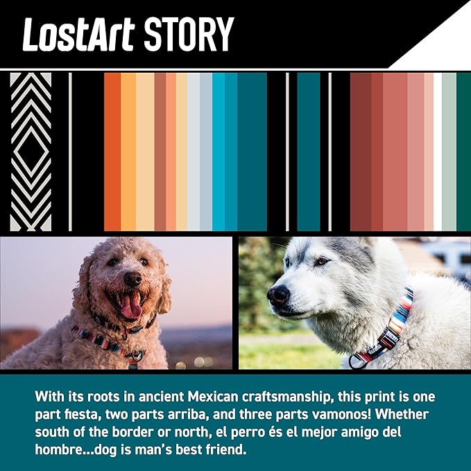 Wolfgang Heavy Duty Martingale Dog Collar with Quick Release Nylon Buckle for Walking & Training, LostArt Print, Small