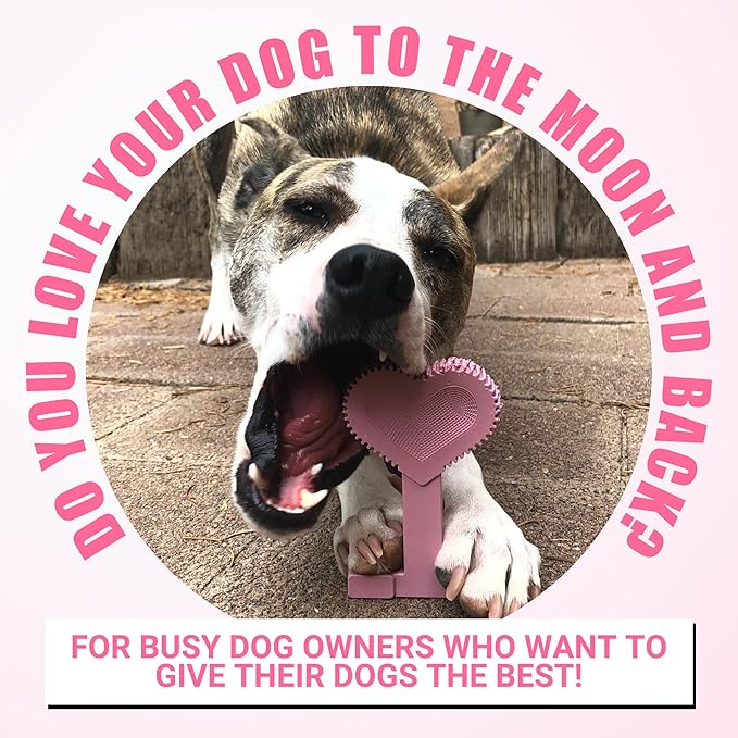 Bullibone Nylon Dog Chew Toy Nylon Bone - Improves Dental Hygiene, Easy to Grip Bottom, and Permeated with Flavor (Peppermint, Small - 3 Pack)