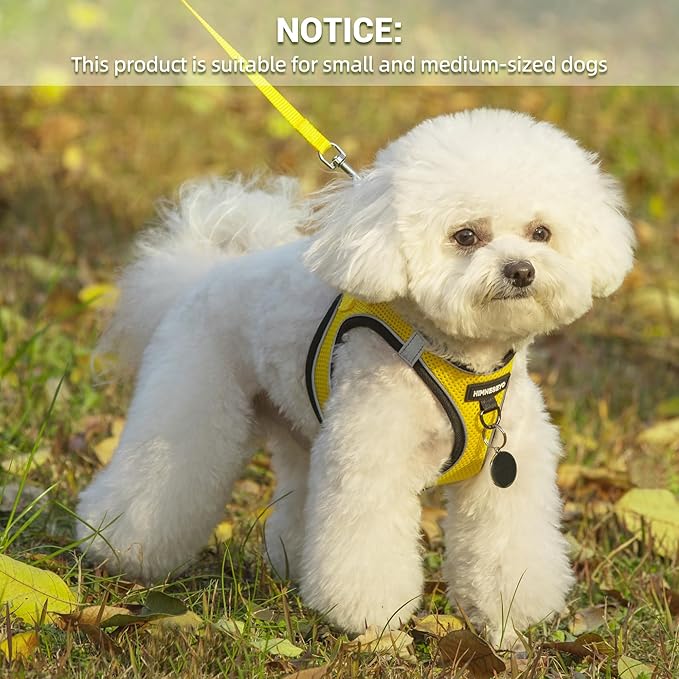 Dog Harness and Leash Set, Dog Harness for Dogs No Pull, No-Chock Step-in Reflective Breathable Lightweight Easy Walk Vest Harnesses with Safety Buckle for Small Medium Dogs, Cats (Yellow, XXS)