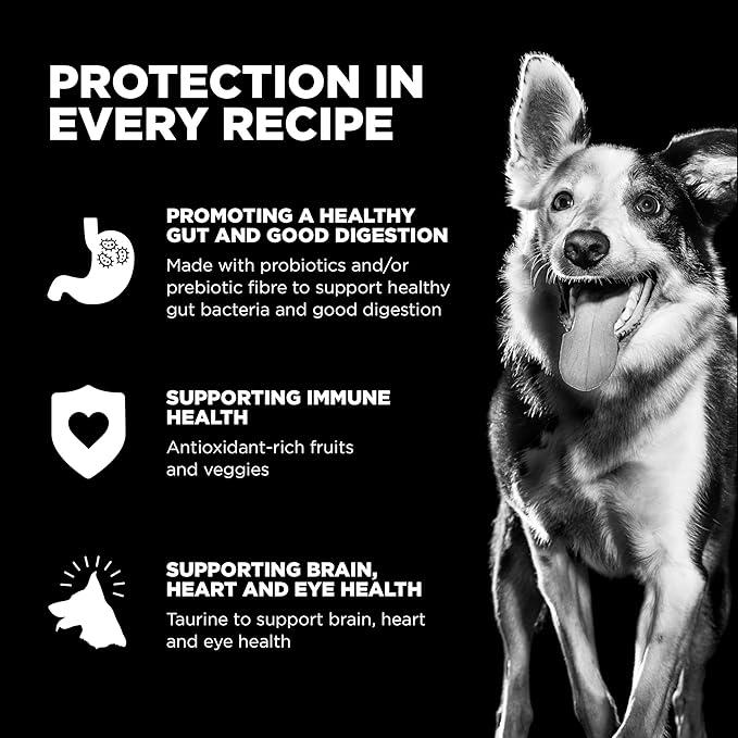 Go! Solutions Carnivore, Grain-Free, Protein Rich Dry Dog Food, Chicken, Turkey and Duck Puppy Recipe, Small Kibble, 22 lb Bag