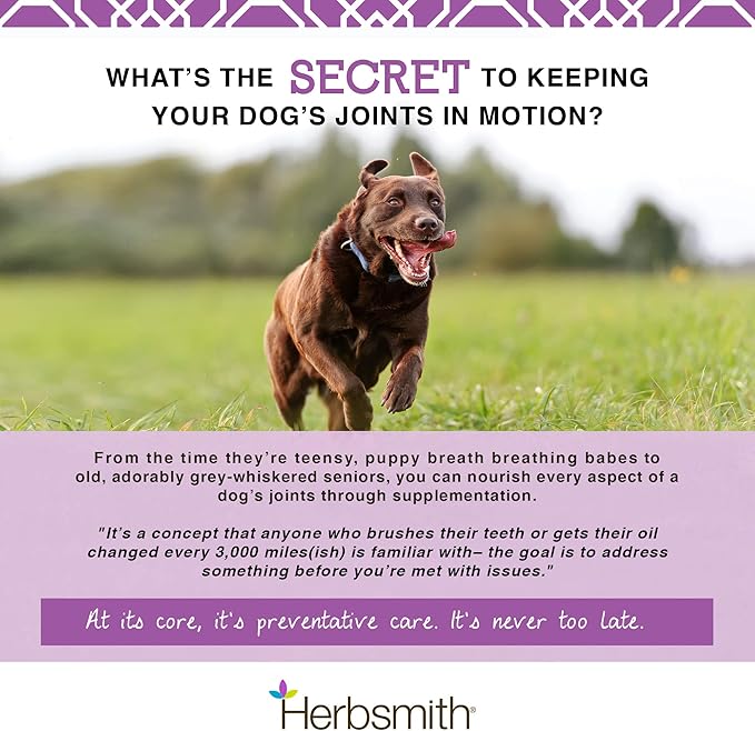 Herbsmith Sound Dog Viscosity – Advanced Joint Support for Dogs – Veterinarian Recommended Glucosamine for Dogs, Hyaluronic Acid, Chondroitin, MSM – Natural Arthritis Pain Relief – 60ct Large Chews