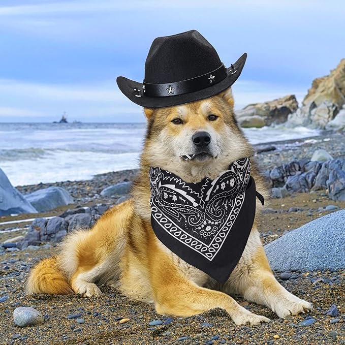 Yewong Pet Cowboy Costume Accessories - Dog Cat Pet Size Cowboy Hat and Bandana Scarf West Accessories for Puppy Kitten Party Festival and Daily Wearing Set of (Black Hat+Black Bandana)