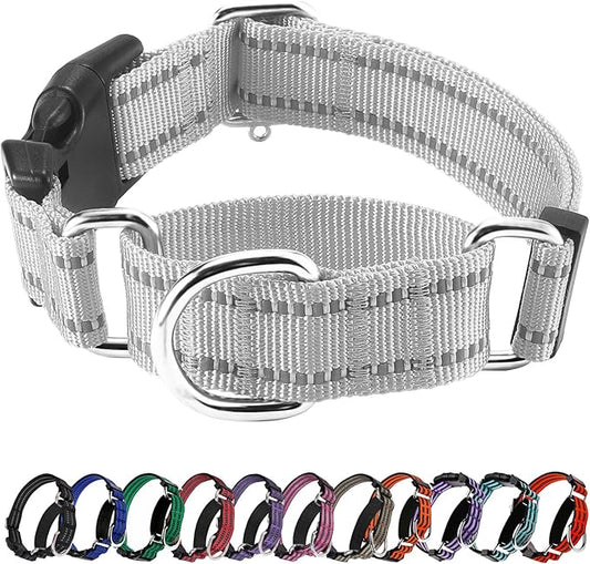 Hikiko Reflective Martingale Dog Collars with Buckle Nylon Adjustable No Slip Training Pet Collar (Medium, Sliver Grey)