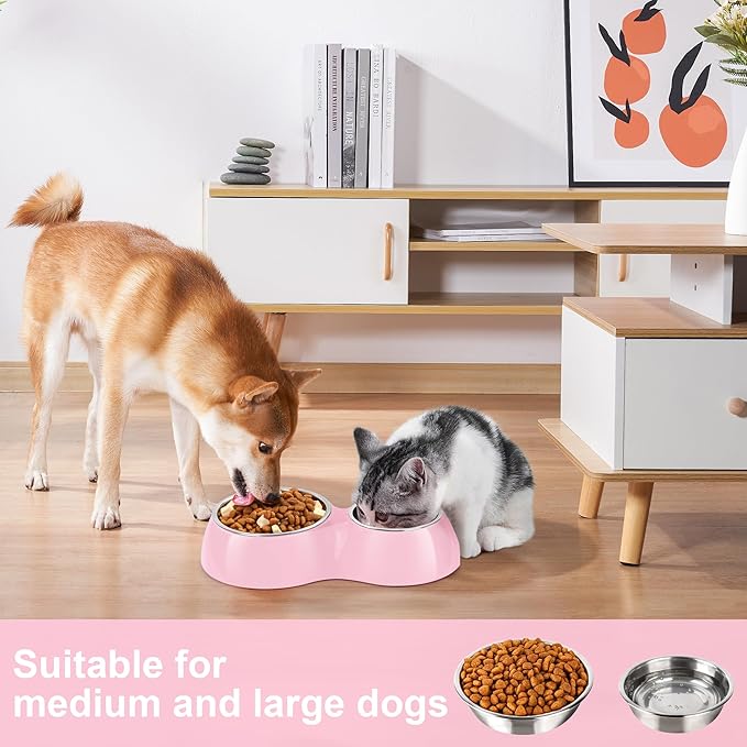 Elevated Dog Bowls Set - Non-Slip Raised Pet Feeder with Medium (10 oz) & Large (20 oz) Stainless Steel Bowls - Includes Durable Resin Stand for Puppies, Adult Dogs & Cats - Pink