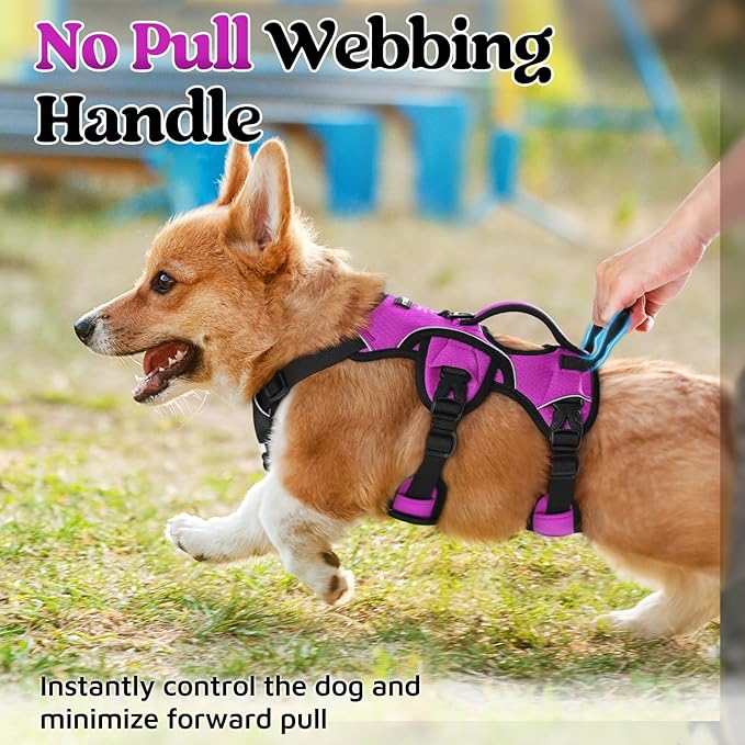 rabbitgoo Escape Proof Dog Harness, Soft Padded Full Body Pet Harness, Reflective Adjustable No Pull Vest with Lift Handle and Lesh Clip for Large Dogs Walking Hiking Training, S, Purple
