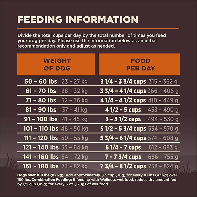 Wellness CORE Grain-Free High-Protein Large Breed Adult Dry Dog Food, Made in USA with Real Chicken & Natural Ingredients, With Glucosamine & Chondroitin to Support Joint Health (26-Pound Bag)