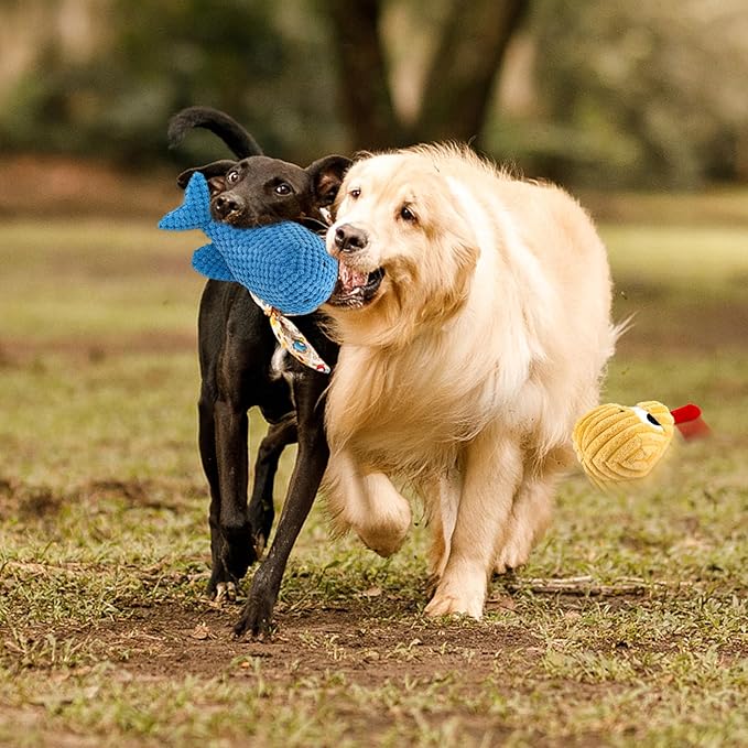Adorable Plush Cats Squeaky Stuffed Toys Animal Chicken and Whale Soft Durable Set for Dog Birds Pets All Breed Chewers