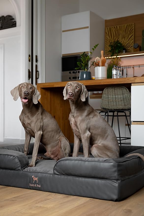 NOAH & PAW Giant Dog Bed XXL, 55x45x11 Inch, Orthopedic Dog Beds, Eggshell Memory Foam Infused with Cooling Gel, Inner Cover, Waterproof, Machine Washable (Faux Leather Sofa Collection)
