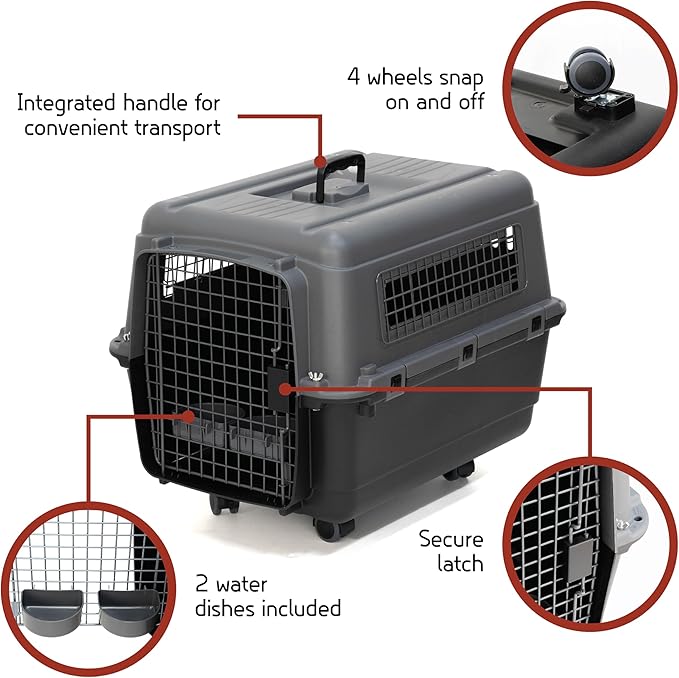 SportPet Designs Plastic Airline Approved Kennels Wire Door Travel Dog Crate, Medium