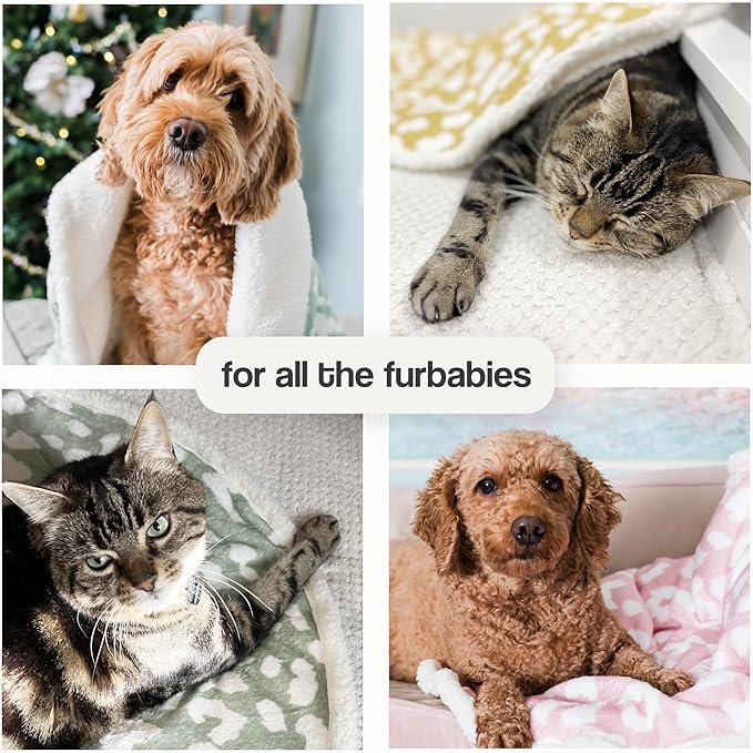 Cat Blanket for Indoor Cats – 29" Soft Sherpa Fleece Pet Throw, Washable Reversible Dog Blanket for Small Dogs, Cats, Kittens, Couch Bed Sofa Car Protector – Grey