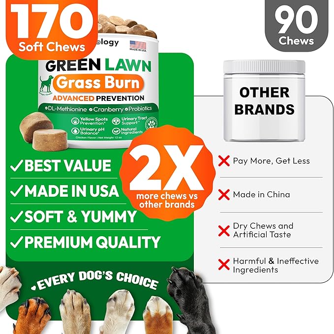 Dog Urine Neutralizer for Lawn - 170 Green Lawn Chews for Dogs - Pee Grass Burn Spot Saver Caused by Dog Urine with Probiotics & Digestive Enzymes - Advanced Gut Health Supplement, Rocks