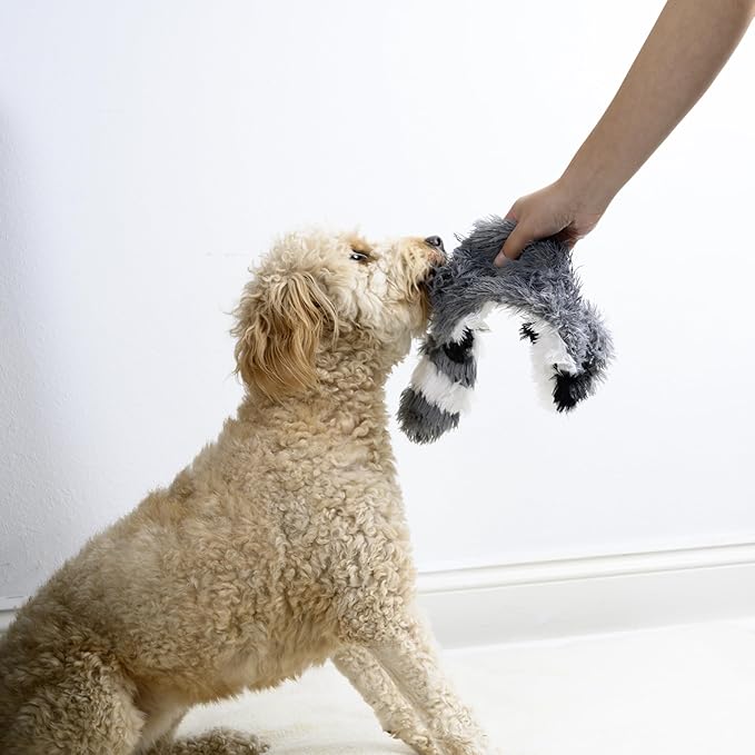 FGA MARKETPLACE Racoon-Squirrel Flat NO Stuffing NO Squeak Plush Dog Toy, Funny Style Will Entertain Your Pet for Hours, Recommended for Small and Medium Dog 21 INCH Long