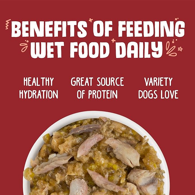 Weruva Classic Dog Food, Marbella Paella with Mackerel & Pumpkin in Aspic, 14oz Can (Pack of 12)