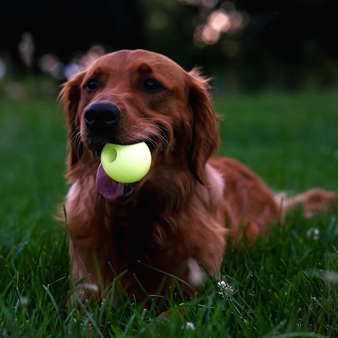 Chew King by Mammoth Glowing Fetch Ball, Dog Ball Toys, 2.5" Combo