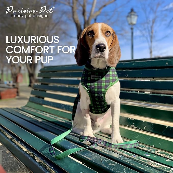 Parisian Pet Dog Harness - Adjustable Bright Green Dog Vest Harness - No Choke, Soft Padded, and No Pull Puppy Harness - Cooling Dog Harness for Large Dogs - Idle for Walking, Running, and Hiking - L