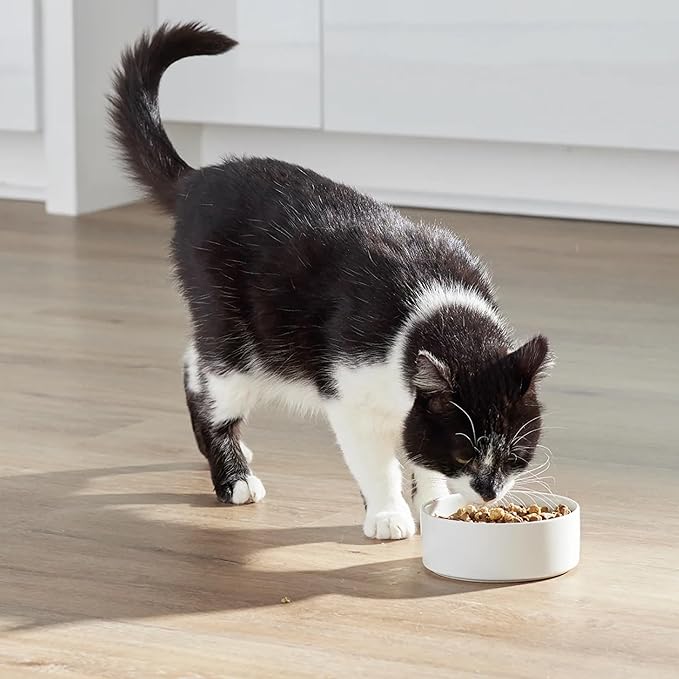 Open Farm, RawMix Dry Cat Food, Protein-Packed Kibble Coated in Bone Broth with Freeze Dried Raw Chunks, for Indoor & Outdoor Cats, Chicken & Turkey Grain-Free Recipe, 2.25lb Bag