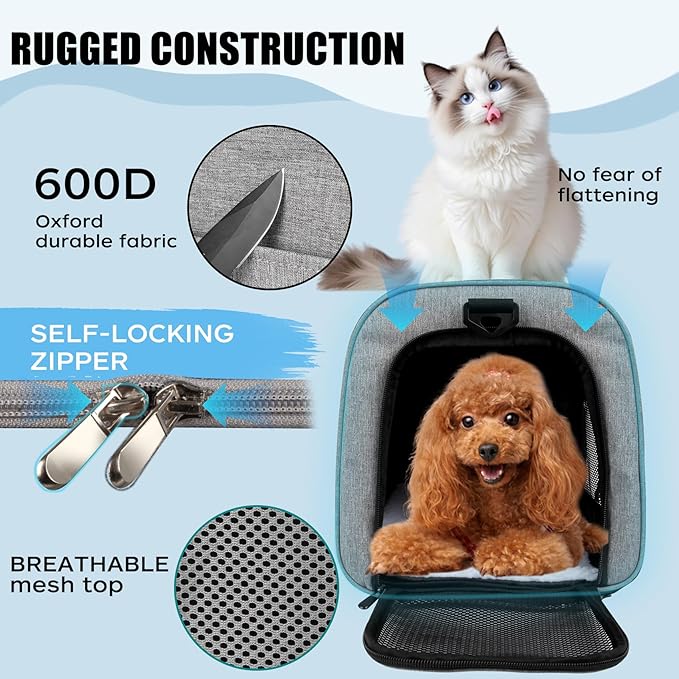Cat Carrier, Soft-Sided Airline Approved Pet Carrier Case with 4 Ventilated Windows for Cats and Dogs Under 10-25Lbs (17.0 L x 11.0 W x 11.0 H Inch, Grey)