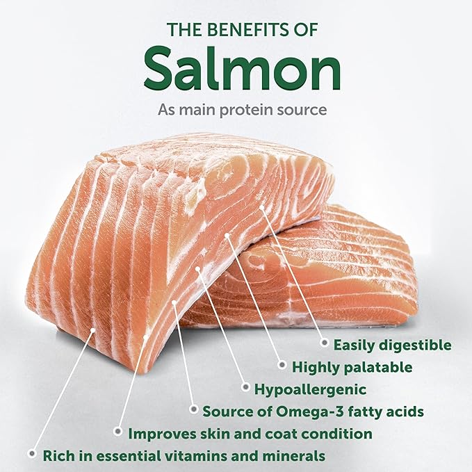 Nature's Protection Superior Care Grain-Free Dry Dog Food - High Protein, Coat Shine Dog Food for Small & Mini Breeds Red Coated All Life Stages Dogs, Fresh Pet Meal, Salmon, 3.3 lb