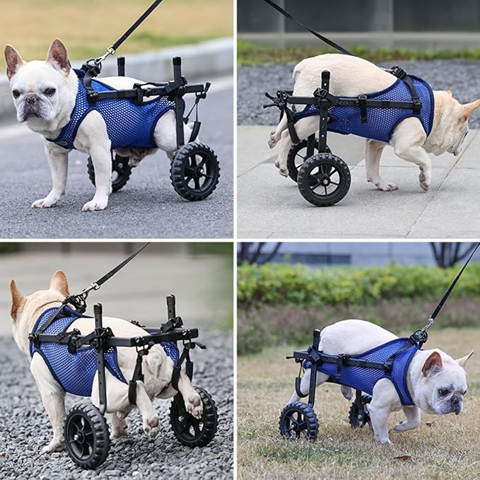 Upgraded Dog Wheelchair for Back Legs, Adjustable Small Dog Wheelchair for Disabled, Injured, Paralyzed, Senior Dogs, Mobility Aid with Leg Brace & Hip Support, Portable Doggy Wheelchairs for Dogs, XS