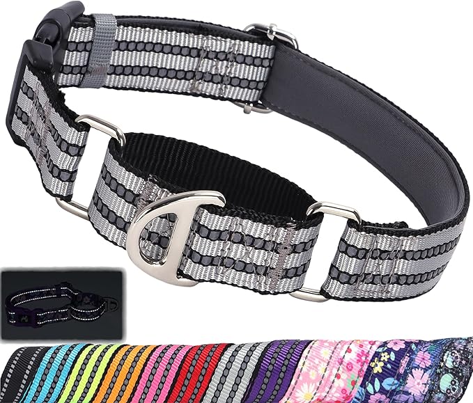 Martingale Collar for Dogs - Reflective Nylon No Slip Choke Heavy Duty Collar with Quick Release Buckle -Safe Fit for Training & Walking Silver S