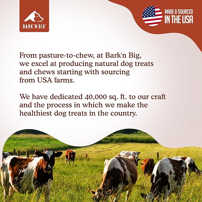 BARK'N BIG Bison Dog Treats - Single Ingredient Lung Dog Treats - Made & Sourced in USA - Dehydrated Bison, High Protein, Low Fat, Easily Digestible for Dogs with Sensitive Stomachs - 5 oz