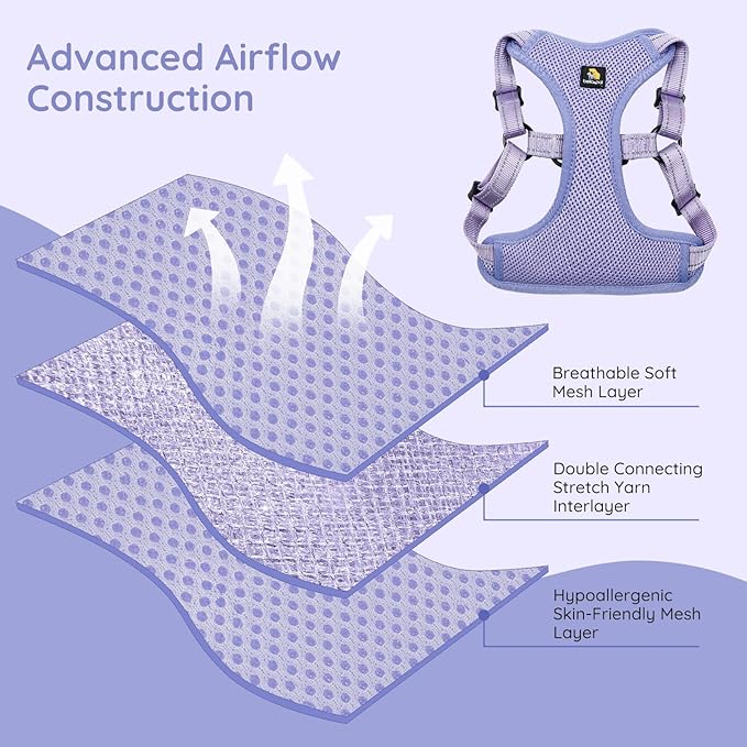 BELLA & PAL Adjustable Step-in Dog Harness, Puppy No-Pull Vest with Leash Set for XS/Small & Medium Dog, Breathable All-Weather Mesh, Reflective Strip, Secure Hook & Loop, Buckle Closure, Dual D-Rings