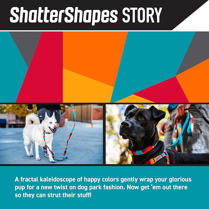 Wolfgang Heavy Duty Martingale Dog Collar with Quick Release Nylon Buckle for Walking & Training, ShatterShapes Print, Extra Large