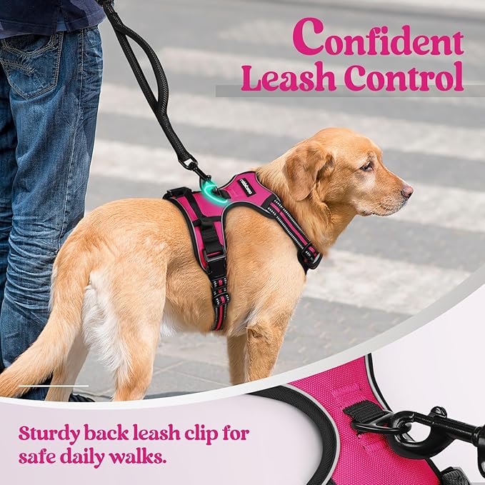 rabbitgoo Dog Harness No Pull with 2 Leash Clips, Adjustable Soft Padded, Reflective Oxford No Choke Pet Vest with Easy Control Handle for Large Dogs, Hot Pink, L