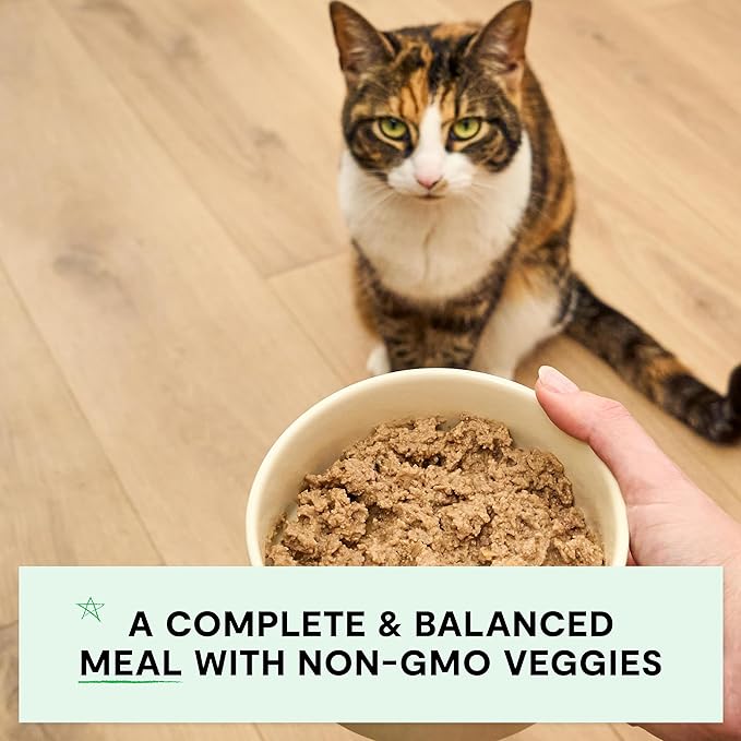 Open Farm Canned Cat Food, Paté for Complete & Balanced Nutrition, Grain-Free and Legume-Free Wet Cat Food, Salmon Recipe, 2.8oz Cans (Case of 18)